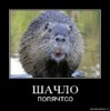 ______28afyzotud9p.jpg